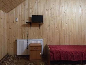 a bedroom with a bed and a tv on a wall at Dream House in Yablunytsya