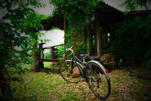 Jízda na kole v ubytování Sukhothai City Resort nebo okolí