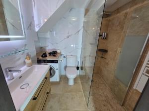 a bathroom with a shower and a toilet and a sink at La vallée de la bruche in Wisches