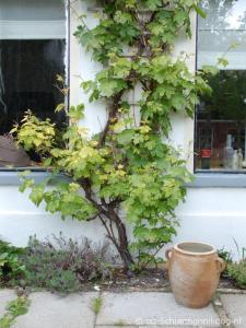 Gallery image of De Salon op Schiermonnikoog in Schiermonnikoog