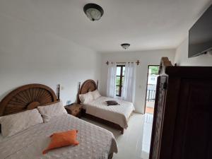 a bedroom with two beds and a television in it at Hotel Magnolia cuetzalan in Cuetzalán del Progreso