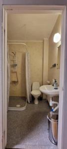 ein Badezimmer mit Dusche, Toilette und Waschbecken in der Unterkunft Station 14 in Arvidsjaur