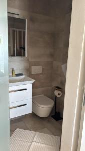 a bathroom with a toilet and a sink and a mirror at Panorama House Opatija in Donji Rukavac