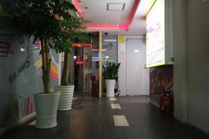 a hallway with potted plants in a building at 에스모텔 in Ch'ŏngnyong-dong