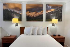 a bedroom with a bed and two paintings on the wall at Days Inn by Wyndham Bishop in Bishop