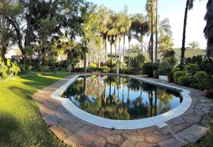 a swimming pool in a yard with palm trees at Eskulaap Hotel in Polokwane