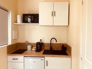 a kitchen with a sink and a microwave at Suite Master in Brest