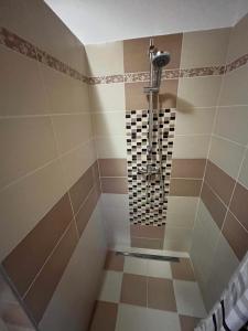 a shower in a bathroom with a tile floor at Slnečný dvor Bukovinka in Dravce +28 photos
