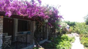 a house with purple flowers on a balcony at Maniatis Garden in Achladies