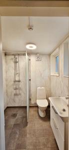 a bathroom with a toilet and a sink at Hällestrand Vandrarhem - Lägenhet "Laxen" in Strömstad