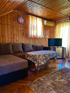 a living room with a couch and a tv at Vikendica na Drini in Banja Koviljača