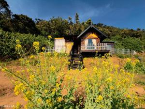 a small cabin in a field of yellow flowers at Skyridge Infinity in Nuwara Eliya