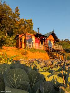 a house sitting on top of a hill with a field of plants at Skyridge Infinity in Nuwara Eliya