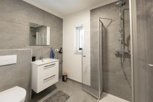 a bathroom with a shower and a sink and a toilet at ALS Zimmer & Suiten in Lambach