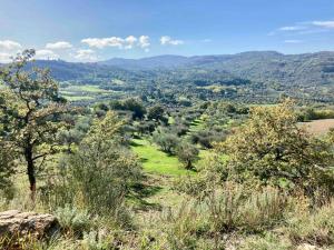 a view of a valley with trees and mountains at Andrea's Nido in Castel del Piano