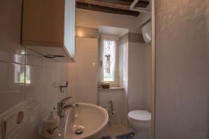 a bathroom with a sink and a toilet at Andrea's Nido in Castel del Piano +32 photos