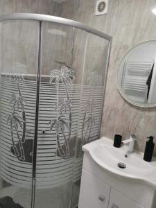 a bathroom with a shower and a sink and a mirror at Casa Lucy in Alexandria