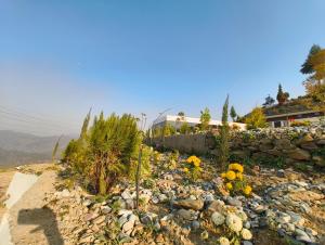 a garden with rocks and plants on a hill at Samlaun in Pauri