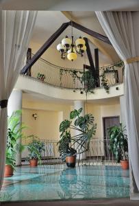 a lobby with potted plants and a ceiling at Hotel Rainer in Braşov