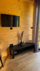 a living room with a tv on a wooden wall at La - Mai Glamping in Žetale