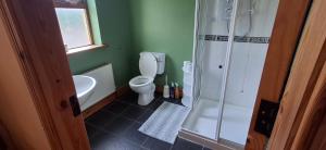 a bathroom with a toilet and a shower at Wooly Lodge in Westport +11 photos