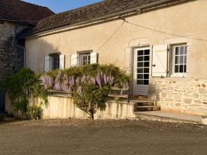 a house with a wisteria bush in front of it at Labourdette in Lasseube