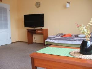 Zimmer mit einem Bett und einem Flachbild-TV in der Unterkunft Apartament Poznań 88A in Posen
