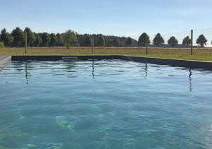 a large pool of blue water in a field at Cottage an der Müritz - großer Garten mit Pool - Außenküche und Grill - Kanus und Fahrräder kostenfrei in Buchholz