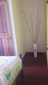 Gallery image of Bastimentos Caribean Hotel in Bocas del Toro