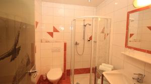 a bathroom with a shower and a toilet and a sink at Alpenperle in Ramsau am Dachstein