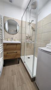 a bathroom with a shower and a sink and a mirror at Le petit marché de Sainte Cécile- Centre historique Albi in Albi +28 photos