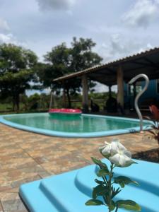 a swimming pool with a white flower in the foreground at Pousada do Nondas in Estivado