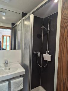 a bathroom with a shower and a sink at Weingut Pension Gibbert-Pohl in Briedel