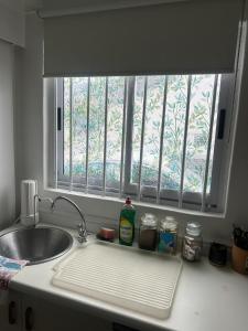a kitchen counter with a sink and a window at Tiny Treasure in Klein Silwermyn +5 photos