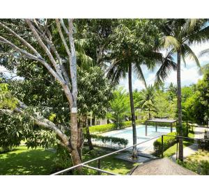 a resort with a swimming pool and palm trees at Severina Lodge in San Juan