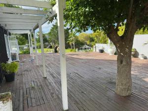 a tree sitting on a deck next to a tree at MoonWillow Manor in Dairy Flat
