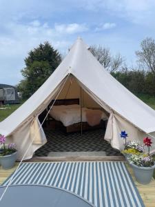 a white tent with a bed in it at Country PUPkins Camping in Branscombe