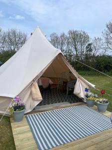 a canvas tent with potted plants on a wooden deck at Country PUPkins Camping in Branscombe
