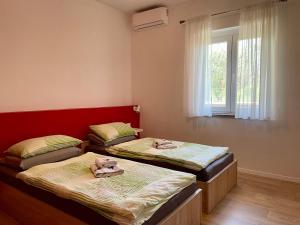 two twin beds in a room with a window at Boutique Apartment with Private Heated Pool in Novigrad Istria +22 photos