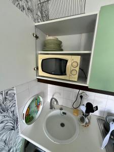 a kitchen with a sink and a microwave at Le Ptit Germain in Saint-Germain-la-Blanche-Herbe