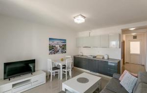 a kitchen and living room with a couch and a tv at Apartmani Coka in Sušćepan