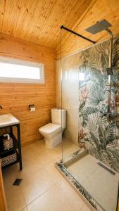 a bathroom with a toilet and a glass shower at chemtan cottages in Dushetʼi +19 photos