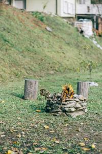 a pile of logs in the grass next to a hill at 18Th-Century Stone House By River In Romagna in Sarsina