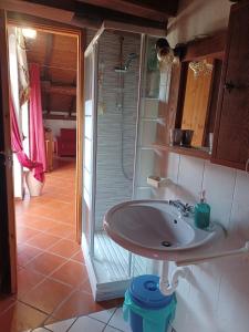 a bathroom with a sink and a shower at In Valtellina da Valter e Lella in Colorina +16 photos