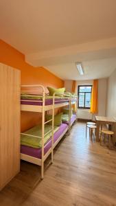 a room with a bunch of bunk beds in it at Wurzelrudis Hostel in Eibenstock