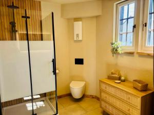 a bathroom with a toilet and a glass shower at Gude Zeit Ferienhaus in Mörsdorf +23 photos