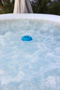 a blue frisbee in a pool of water at Ergi Riverside Villas in Zues
