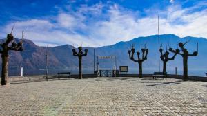 a group of trees with mountains in the background at Historic Borgo Lake Como Campidoglio 3 in Lenno +54 photos