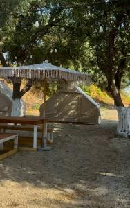 a picnic table and an umbrella under a tree at Bocana Camping Borsh in Borsh +4 photos
