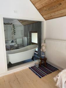 a bath tub in a room with a mirror at Casa Lucia in Dămuc +171 photos